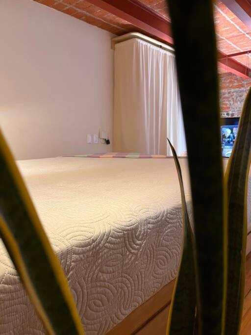 108, Loft Confortable, Balcon 1 Calle Bellas Artes Мехіко Екстер'єр фото